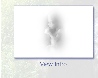 Workshops, Milne Institute, ADD, ADHD, Craniosacral Seminars.