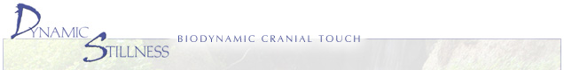 Craniosacral Seminars, Craniosacral Classes, Therapy, ADD, ADHD, Difficult Births, Milne Institute.