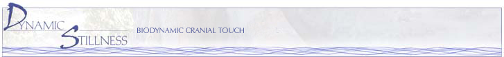 Dynamic Stillness - Back to Home Page